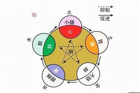 彦五行|彦字的五行属性